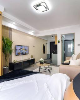 Elegant Lovely studio Apartment - Nairobi - 2