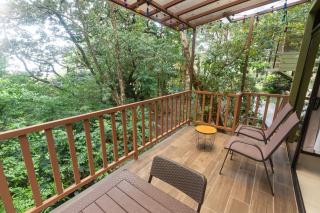 Casas Clusia - Monteverde - 1