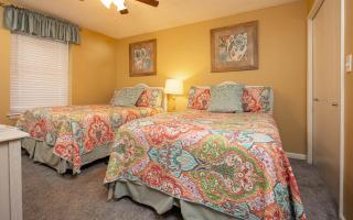 Phoenix VI 61005 condo - Orange Beach - 1
