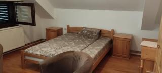 Apartman ANA 1 - Soko Banja - 2