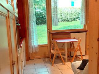 Studio Chamonix rénové, proche centre et télécabine, animaux admis, parking - FR-1-517-3 - Chamonix - 0