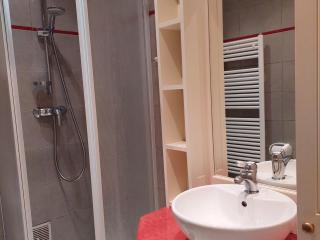 Studio rénové 16m2, terrasse, animaux admis, parking, près télécabine Brévent - FR-1-517-3 - Chamonix-Mont-Blanc - 6