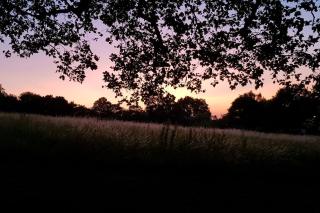 Idyllic flat over River Lea - Londra - 9