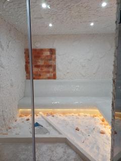 Zlatni San-Apartmani Prestige Forest - Zlatibor - 4