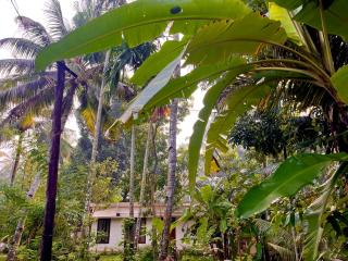 Soulful Homes - Munroe Island - 5