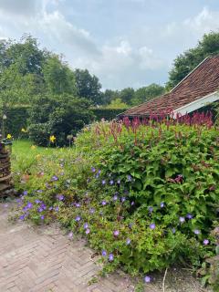 Haystackcottage - Paterswolde - 8