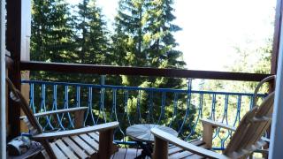 Résidence Archeboc - Très beau duplex entièrement rénové pour 4 personnes dans le village de Charmettoger, proche des pistes MAE-2116 - Arc 1800 - 4