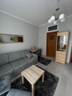 Giermkovnia apartament Elbląg - Elblag - 6