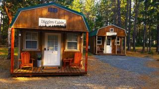 Diggins Cabin 2 - - 9