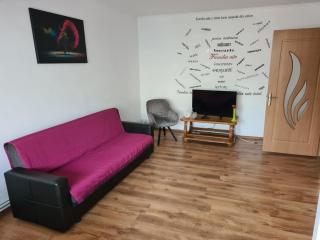 Eva Apartments Mall 90mp - Bacău - 7