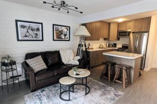 Ketchum Sun Valley Getaway, walk to town and lifts - Ketchum - 9