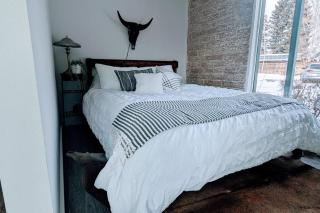 Ketchum Sun Valley Getaway, walk to town and lifts - Ketchum - 6
