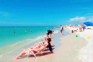 Boutique Beach Retreat - St Pete Beach - 9