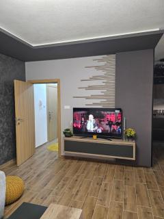 SOUL Apartman - Soko Banja - 6