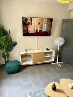 APPARTEMENT COSY Auxerre - Auxerre - 7