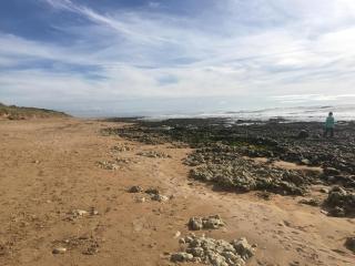 Les Sables Vignier - Saint-Georges-dʼOléron - 8