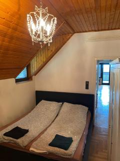 Luxury 3 BR Vila in a forest 10min drive from city center - Budapest - 9