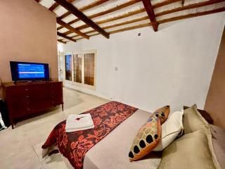 Villa Tequila-Casa Frida - Alta Gracia - 6