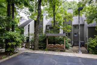 Condo At Wintergreen Walk To Slope, Pool Access - Wintergreen - 6