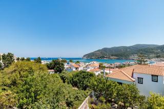 Dimitrios Studios - Skopelos - 2