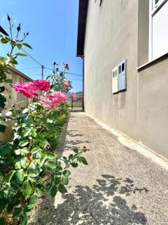 Sweet Home With Garden - Ilijaš - 2