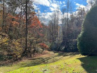 Shiner's Hollow - Gatlinburg - 6