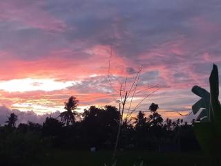 Private villa Bamboo Cozy - Singaraja - 0