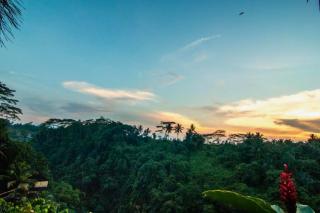 Panorama 4BR Villa Exclusive Presidential ZN58 - Ubud - 6