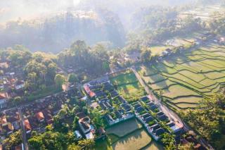 Daisy 1 BR Private Villa with rice field view ZN60 - Ubud - 6