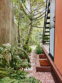 Cottage by the Lake - Talawatugoda - 8