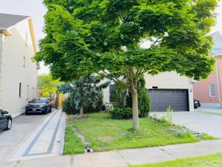 Spacious Basement in Oakville - Oakville - 4