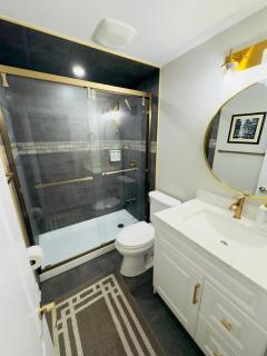 Spacious Basement in Oakville - Oakville - 1