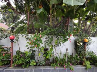 THAPA HOMESTAY - Pokhara - 4