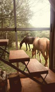 La Escondida - Villa Serrana - Villa Serrana - 7