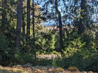 Charming 3 Bedroom Suite - Victoria - 7