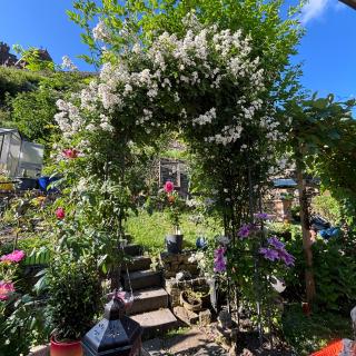 Ferienwohnung Im Morgenbachtal - Trechtingshausen - 5