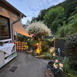 Ferienwohnung Im Morgenbachtal - Trechtingshausen - 1