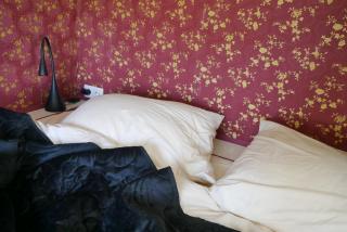 Hoeve Zorglust, salonwagen voor 2 personen met extra slaapkamerhuisje voor 2 - 3 kinderen - Koudekerke - 9
