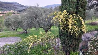 Villa Salviati - Prato - 2