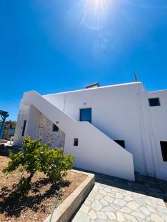 Olive House - Márpissa - 8