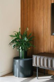 Abodo Alpine Eco Villa Family Units - Cardrona - 7