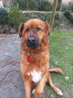 Szőlőskert Vendégház - 6