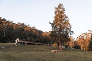 Budgong Lodge - Kangaroo Valley - Kangaroo Valley - 3