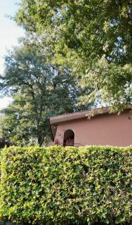 La Casina di Ettore - Valentano - 9