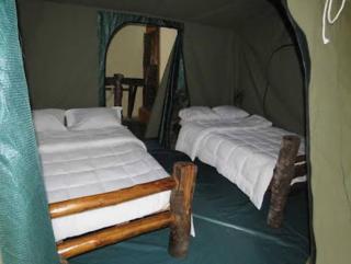 Kibale Forest Cottages And Campsite - Fort Portal - 9