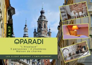 OPARADI "L'atypique" MAISON HISTORIQUE à Lille, un séjour atypique dans un cadre d'antan - Lille - 9