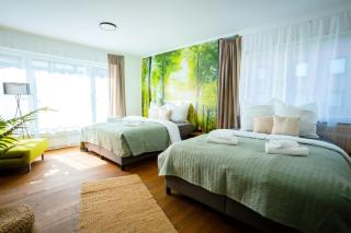 THE BIG MÜNSTER für bis zu 12, Whirlpool, Sauna, zentral, Tischfußball, Balkon, Gasgrill - Ulm - 5