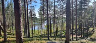 Villa Poronperä - 5