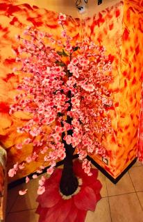 La Corte dei Fiori - Albavilla - 9