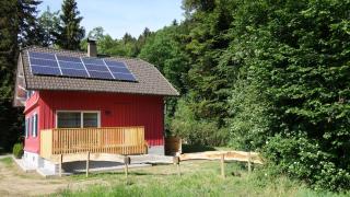 Erwins Ferien Paradies - Diezlings - 9